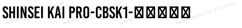 Shinsei Kai Pro-CBSK1字体转换